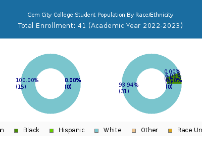 Gem City College 2023 Student Population by Gender and Race chart