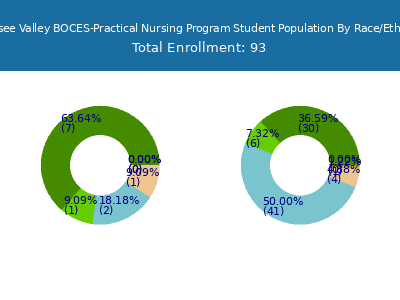 Genesee Valley BOCES-Practical Nursing Program 2025 Student Population by Gender and Race chart