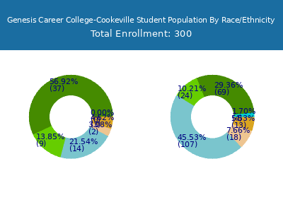 Genesis Career College-Cookeville 2025 Student Population by Gender and Race chart
