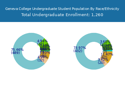 Geneva College 2025 Undergraduate Enrollment by Gender and Race chart