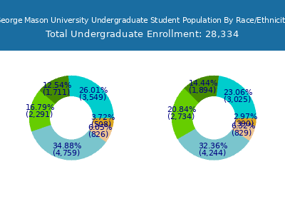 George Mason University 2025 Undergraduate Enrollment by Gender and Race chart