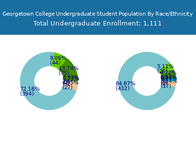 Georgetown College 2025 Undergraduate Enrollment by Gender and Race chart