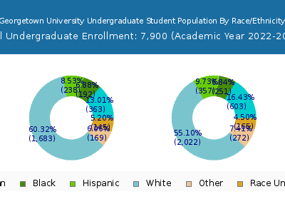 Georgetown University 2023 Undergraduate Enrollment by Gender and Race chart