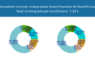 Georgetown University 2025 Undergraduate Enrollment by Gender and Race chart