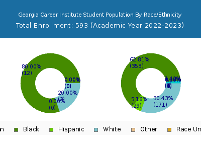 Georgia Career Institute 2023 Student Population by Gender and Race chart