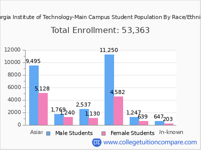 Georgia Institute of Technology-Main Campus 2025 Student Population by Gender and Race chart