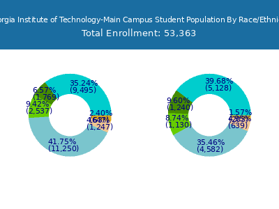 Georgia Institute of Technology-Main Campus 2025 Student Population by Gender and Race chart