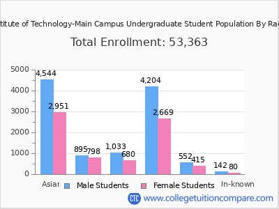 Georgia Institute of Technology-Main Campus 2025 Undergraduate Enrollment by Gender and Race chart