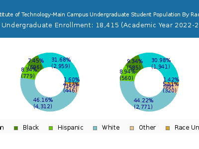 Georgia Institute of Technology-Main Campus 2023 Undergraduate Enrollment by Gender and Race chart