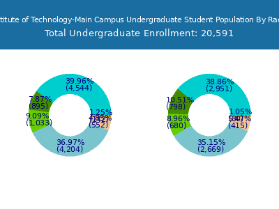 Georgia Institute of Technology-Main Campus 2025 Undergraduate Enrollment by Gender and Race chart