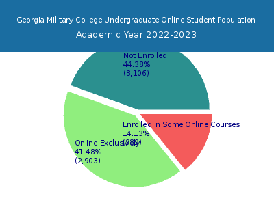 Georgia Military College 2023 Online Student Population chart