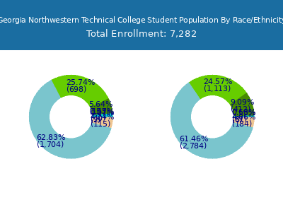Georgia Northwestern Technical College 2025 Student Population by Gender and Race chart