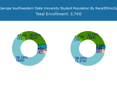 Georgia Southwestern State University 2025 Student Population by Gender and Race chart