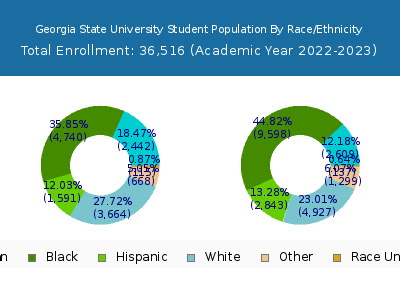 Georgia State University 2023 Student Population by Gender and Race chart