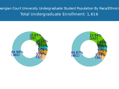Georgian Court University 2025 Undergraduate Enrollment by Gender and Race chart