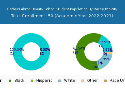Gerbers Akron Beauty School 2023 Student Population by Gender and Race chart