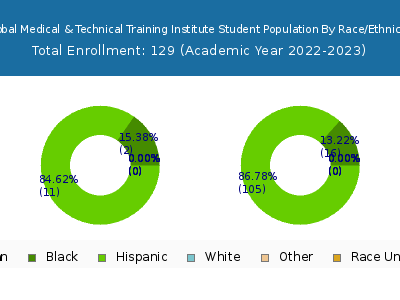 Global Medical & Technical Training Institute 2023 Student Population by Gender and Race chart