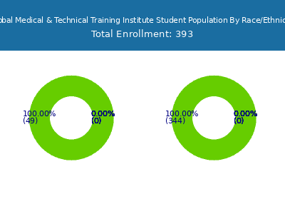 Global Medical & Technical Training Institute 2025 Student Population by Gender and Race chart