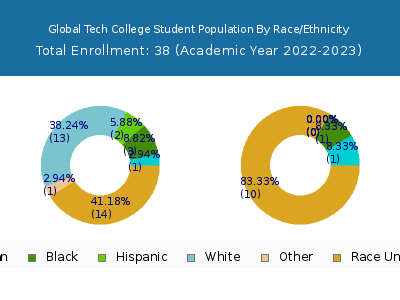 Global Tech College 2023 Student Population by Gender and Race chart