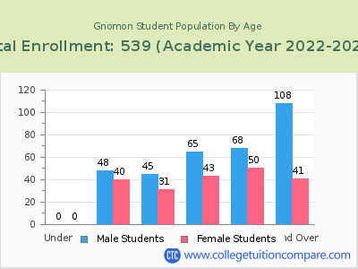 Gnomon 2023 Student Population by Age chart