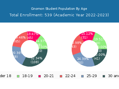 Gnomon 2023 Student Population Age Diversity Pie chart