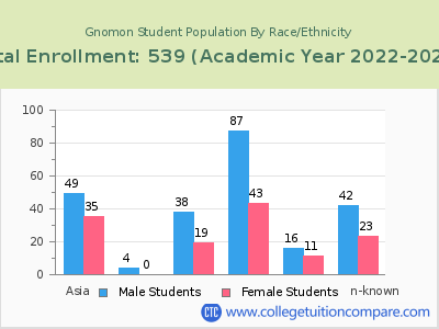 Gnomon 2023 Student Population by Gender and Race chart