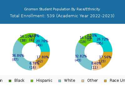 Gnomon 2023 Student Population by Gender and Race chart