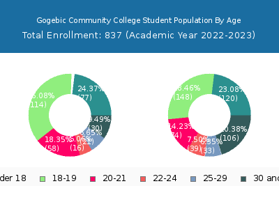 Gogebic Community College 2023 Student Population Age Diversity Pie chart