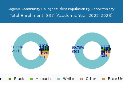 Gogebic Community College 2023 Student Population by Gender and Race chart