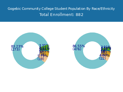 Gogebic Community College 2025 Student Population by Gender and Race chart