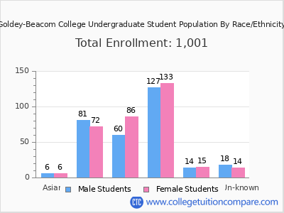 Goldey-Beacom College 2025 Undergraduate Enrollment by Gender and Race chart