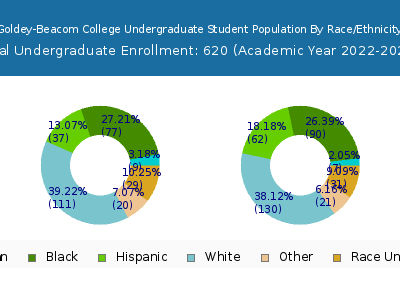 Goldey-Beacom College 2023 Undergraduate Enrollment by Gender and Race chart