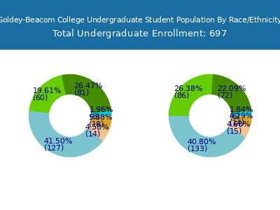 Goldey-Beacom College 2025 Undergraduate Enrollment by Gender and Race chart