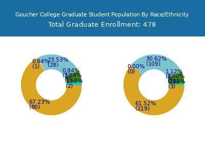 Goucher College 2025 Graduate Enrollment by Gender and Race chart