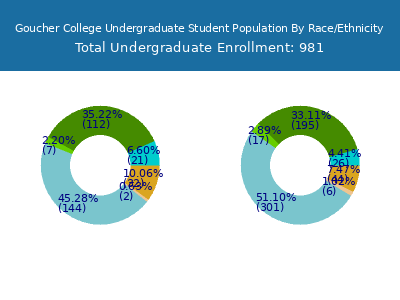 Goucher College 2025 Undergraduate Enrollment by Gender and Race chart