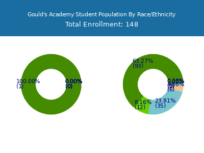 Gould's Academy 2025 Student Population by Gender and Race chart