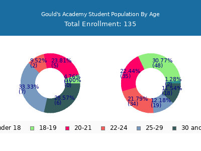 Gould's Academy 2024 Student Population Age Diversity Pie chart