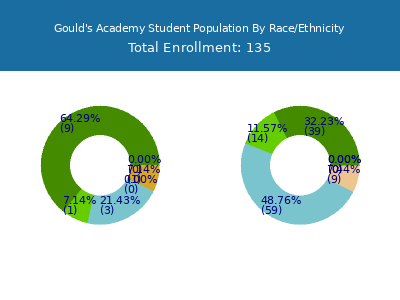 Gould's Academy 2025 Student Population by Gender and Race chart