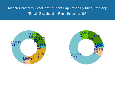Manna University 2025 Graduate Enrollment by Gender and Race chart