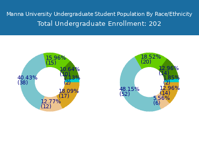 Manna University 2025 Undergraduate Enrollment by Gender and Race chart