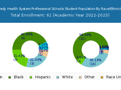 Grady Health System Professional Schools 2023 Student Population by Gender and Race chart