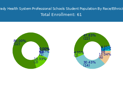 Grady Health System Professional Schools 2025 Student Population by Gender and Race chart