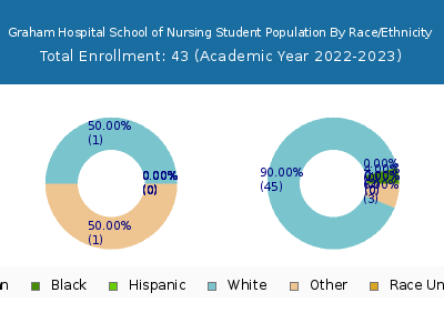 Graham Hospital School of Nursing 2023 Student Population by Gender and Race chart
