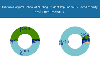 Graham Hospital School of Nursing 2025 Student Population by Gender and Race chart