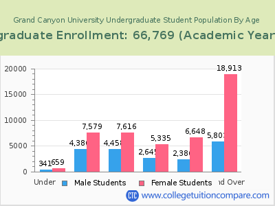 Grand Canyon University 2023 Undergraduate Enrollment by Age chart