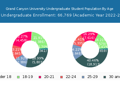 Grand Canyon University 2023 Undergraduate Enrollment Age Diversity Pie chart