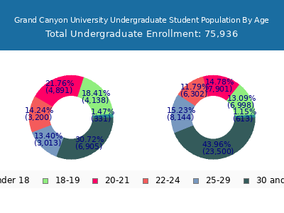 Grand Canyon University 2025 Undergraduate Enrollment Age Diversity Pie chart