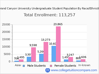 Grand Canyon University 2025 Undergraduate Enrollment by Gender and Race chart