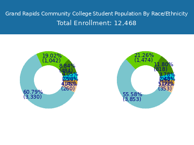 Grand Rapids Community College 2025 Student Population by Gender and Race chart