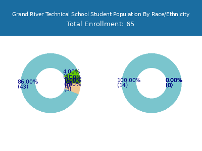 Grand River Technical School 2025 Student Population by Gender and Race chart